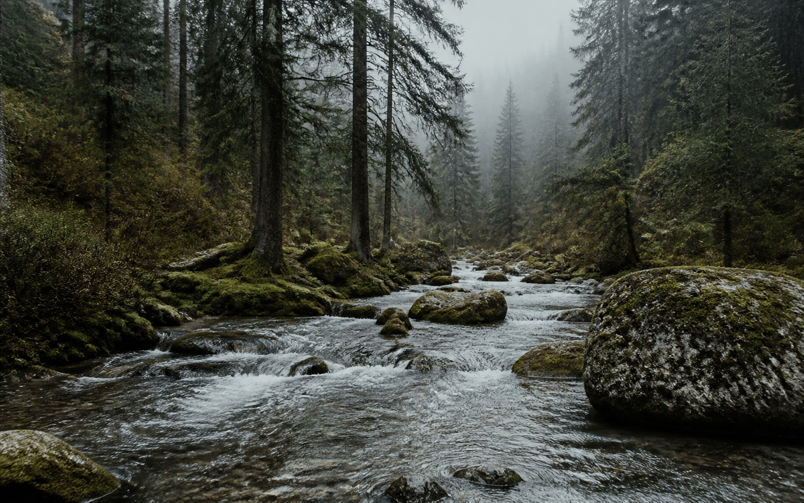 雨水退去后，林间的溪流重新显出路径。湿润的石头、雾气与脚步，让时间有了更慢的尺度。