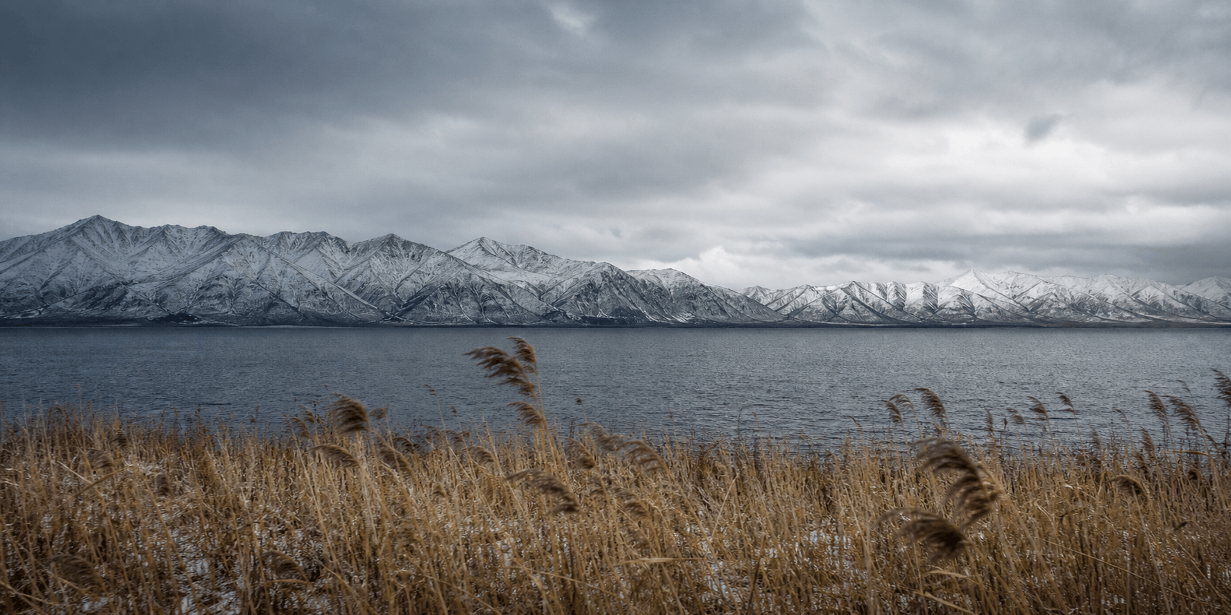 Snow-covered mountains beyond a cold lake and winter reeds